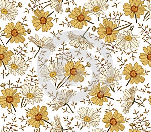 Seamless pattern realistic isolated flowers Vintage background Chamomile Daisies Drawing engraving Vector fabric illustration