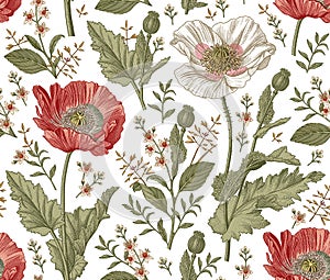 Seamless pattern realistic isolated flowers Vintage background Poppy Croton Drawing engraving Vector fabric illustration