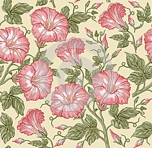 Seamless pattern. Realistic isolated flowers. Vintage baroque background. Petunia. Wallpaper. Drawing engraving. Vector