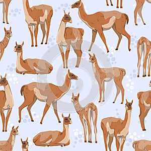 Seamless pattern. Realistic male, female and young guanacos on a blue background with dots. Lama guanicoe