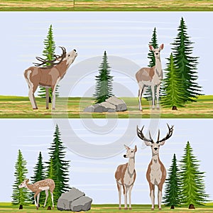Seamless pattern. Red deer stand near large fir trees in a clearing