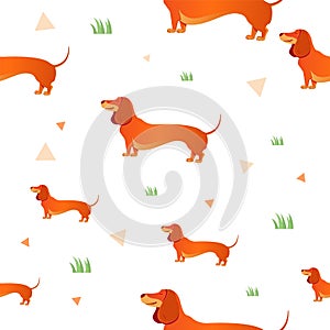 Seamless pattern with red dog and graass.