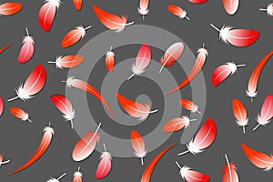 Seamless pattern with red feathers