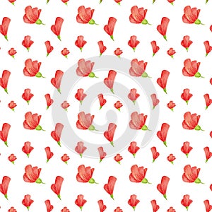 Seamless pattern with red floral arrangement. Illustration with hand drawn watercolor flowers