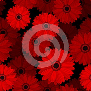 Seamless pattern with red gerbera flowers.