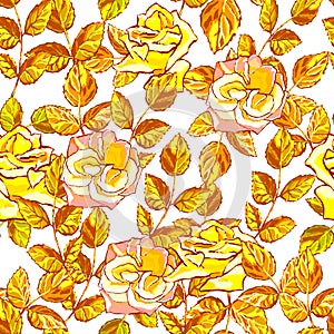 Seamless pattern with red gold roses. White background.