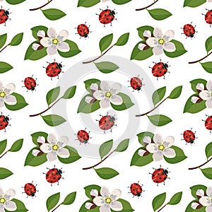 Seamless pattern with red ladybug and cherry flowers