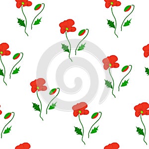 Seamless pattern red poppies, buds isolated on white background.. Wild flower girly motif, vector design eps 10