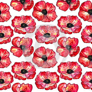 Seamless pattern with red poppies. Colorful flowers. Watercolor hand drawn illustration isolated on white background