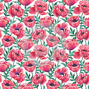 Seamless pattern with red poppies. Colorful flowers. Watercolor hand drawn illustration isolated on white background