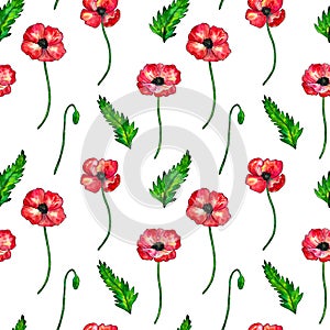 Seamless pattern with red poppies. Colorful flowers. Watercolor hand drawn illustration isolated on white background. Texture for