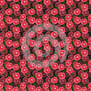 Seamless pattern of red roses with layered background