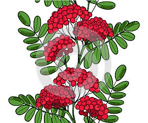 Seamless pattern Red Rowan Tree. Endless ornament twig of rowanberry or ashberry. Background leaves and cluster of sorbus berry. B