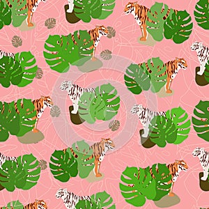 Seamless pattern with red tigers and white tigers with tropical monstera leaves. Pink background. Print on fabrics, on paper,