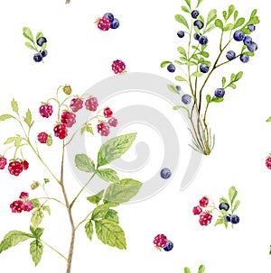 Seamless pattern repeated tile of watercolor berries