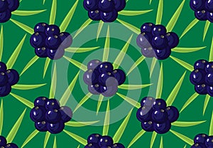 Seamless pattern with ripe acai berries, leaves. Brazilian superfruit. Euterpe oleracea. Superfood for healthy life