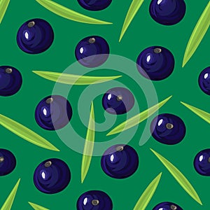 Seamless pattern with ripe acai berries, leaves. Brazilian superfruit. Euterpe oleracea. Superfood for healthy life