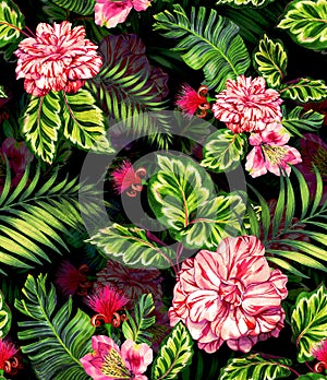 Seamless pattern with rose, camellia, succulents.