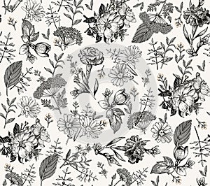 Seamless pattern Rosehip Chamomile isolated flowers Vintage background Wallpaper Drawing engraving. Vector illustration