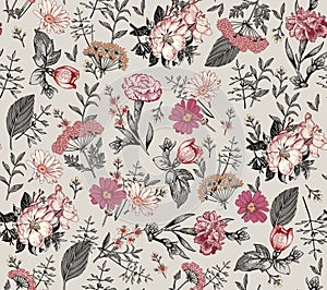 Seamless pattern Rosehip Chamomile isolated flowers Vintage background Wallpaper Drawing engraving. Vector illustration