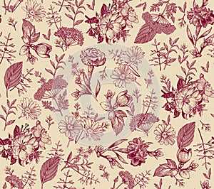 Seamless pattern Rosehip Chamomile isolated flowers Vintage background Wallpaper Drawing engraving. Vector illustration