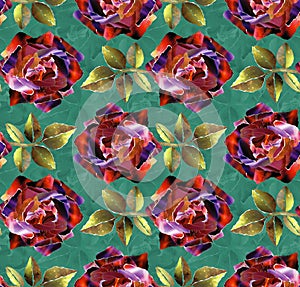 Seamless pattern with Roses in colage style