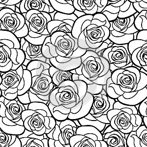 Seamless pattern with roses contours. Vector illustration. photo