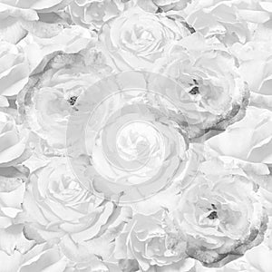 Seamless pattern with roses White