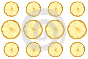 Seamless pattern of round transparent slices of ripe juicy yellow lemon on a white background. Flat position, top view