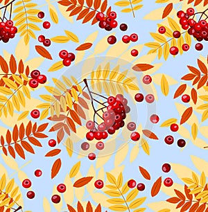 Seamless pattern with rowan leaves and rowanberrie