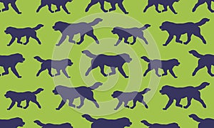 Seamless pattern. Running newfoundland dog isolated on a green background. Endless texture. Pet animals. Design for