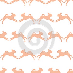 Seamless pattern. Running petit brabancon puppy isolated on a white background. Endless texture. Design for wallpaper