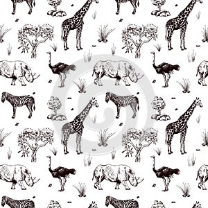 Seamless pattern safari wildlife isolated on white background. African animals giraffe, ostrich, rhinoceros, zebra in engraving