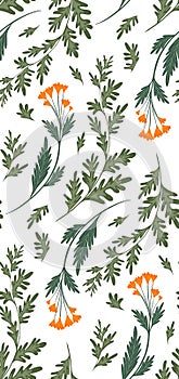 Seamless pattern with sagebrush and calendula flowers on stems with foliage on white background. Vector botanical floral texture.