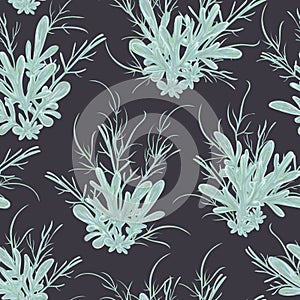 Seamless pattern with sagebrush. Rustic floral background. photo