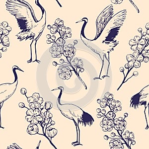 Seamless pattern with sakura blooming branches and dancing japanese cranes. Outline ink drawing. Vector illustration