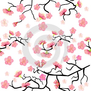 Seamless pattern with sakura cherry blossom branch. vector