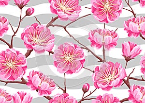 Seamless pattern with sakura or cherry blossom. Floral japanese ornament of blooming flowers