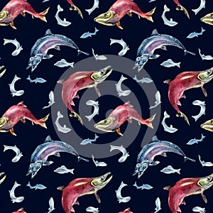 Seamless pattern of salmon, coho, chum watercolor illustration isolated on black.