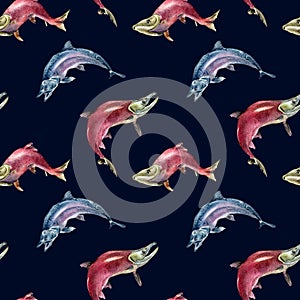 Seamless pattern of salmon, coho, chum watercolor illustration isolated on black.