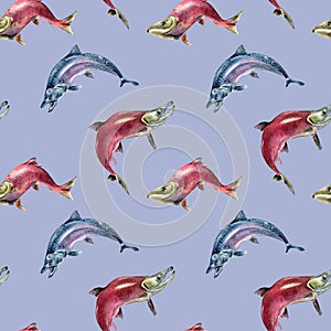 Seamless pattern of salmon, coho, chum watercolor illustration isolated on blue.