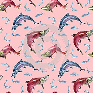 Seamless pattern of salmon, coho, chum watercolor illustration isolated on pink.