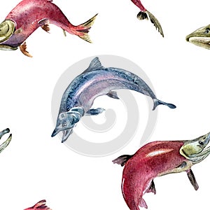 Seamless pattern of salmon, coho, chum watercolor illustration isolated on white.