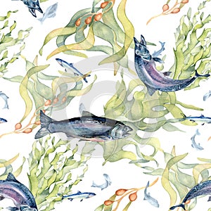 Seamless pattern of salmon and sea plants watercolor isolated on white. Wild fish, seaweed, laminaria hand drawn. Design