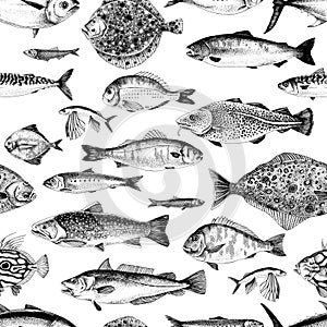 Seamless pattern with sea fishes