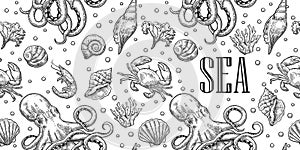 Seamless pattern sea shell, coral, crab, octopus and shrimp. Vector engraving vintage illustrations. Isolated on white background