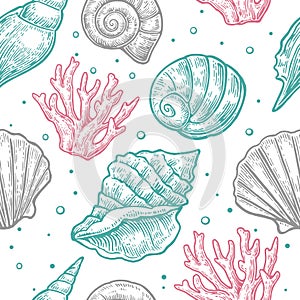 Seamless pattern sea shell. Vector engraving vintage illustrations. Isolated on white background