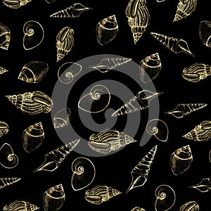 Seamless pattern of sea shells on black background. Manual graphics. Design for backgrounds, wallpapers and packaging