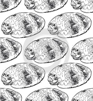 seamless pattern sea shells Volutidae, common name volutes, are a taxonomic family of predatory sea snails. Sketch black contour