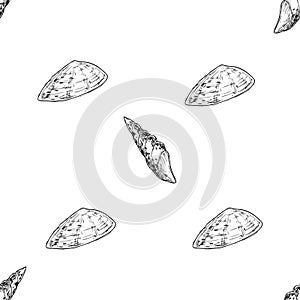 Seamless pattern with seashells. Marine background. Vector illustration in sketch style. Vintage stye in black and white colors. P